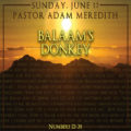 Icon of BALAAM'S DONKEY Discussion Questions